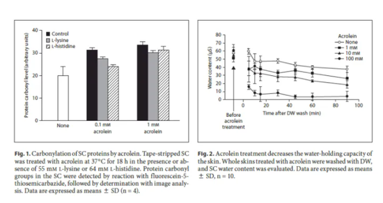 图源:《Protein carbonyls damage the water-holding capacity of the stratum corneum》