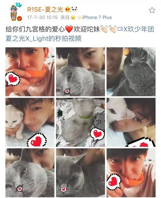 肖战胡歌李现 来领取你的猫系男友吧