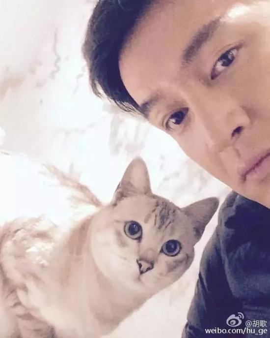 肖战胡歌李现 来领取你的猫系男友吧