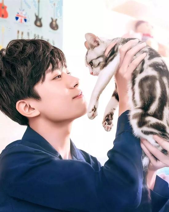 肖战胡歌李现 来领取你的猫系男友吧