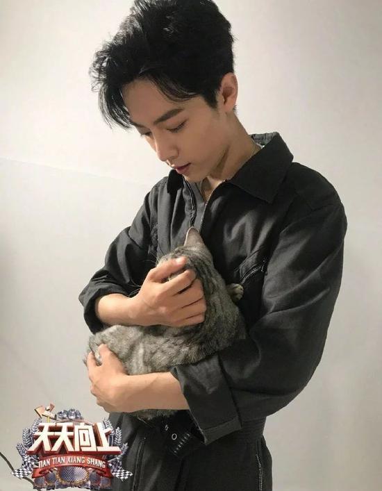 肖战胡歌李现 来领取你的猫系男友吧