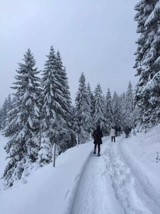 夜探大雪封山的瑞士汝山谷天文台