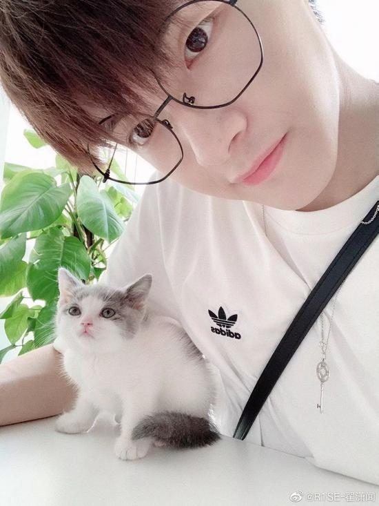 肖战胡歌李现 来领取你的猫系男友吧
