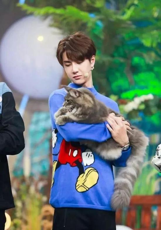 肖战胡歌李现 来领取你的猫系男友吧