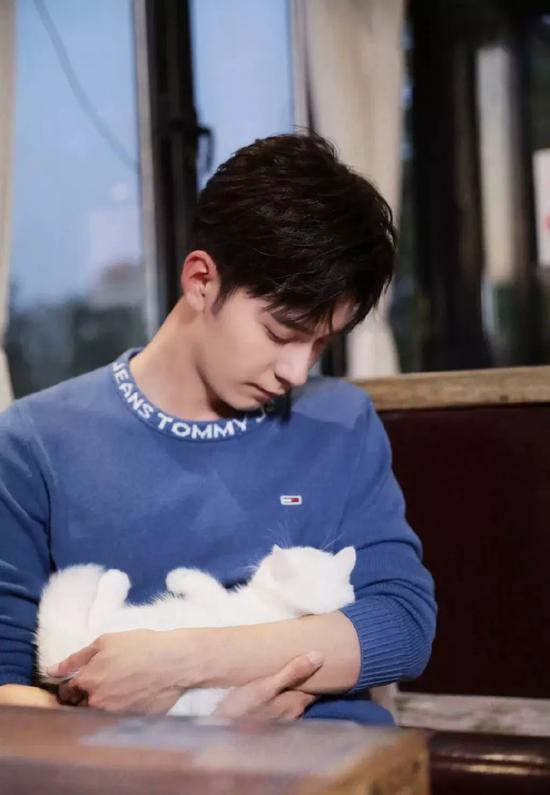 肖战胡歌李现 来领取你的猫系男友吧
