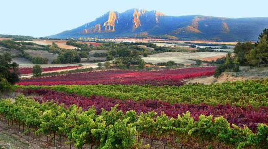 图片来源:navarrawine.us