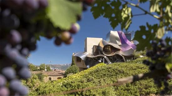 △ Marques de Riscal