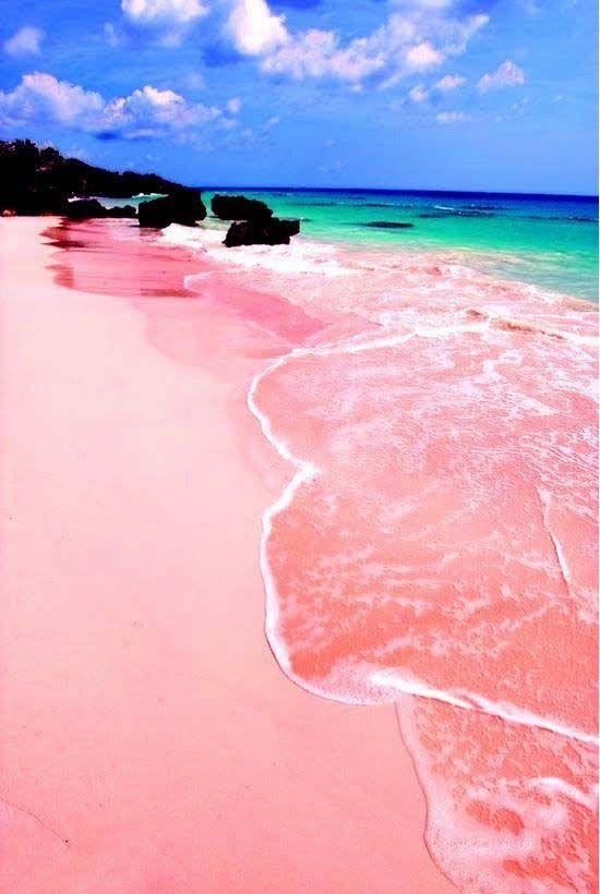 巴哈马粉红海滩 图片来源自Pinterest@Fantastic Travels