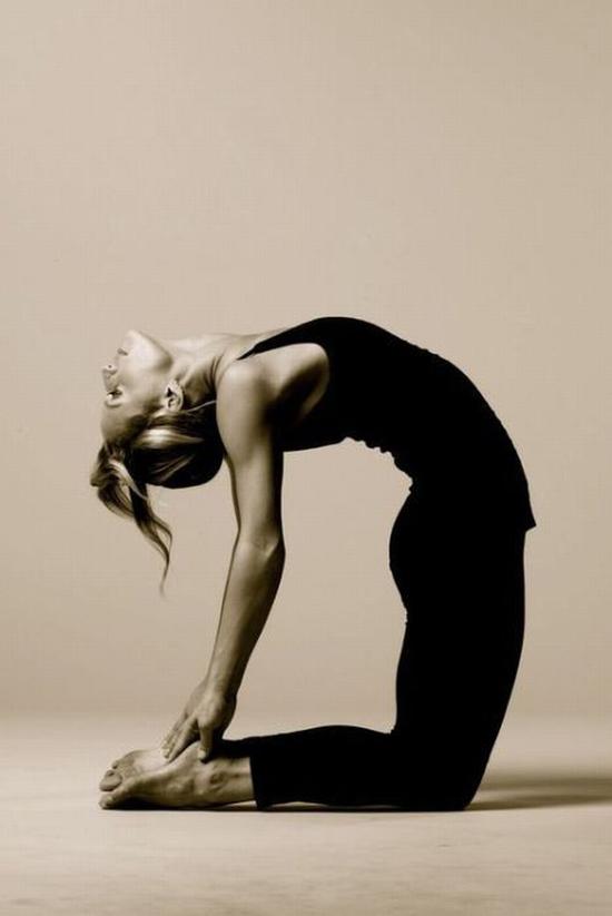 vinyasa瑜伽 图片源自www.asanayoga.de