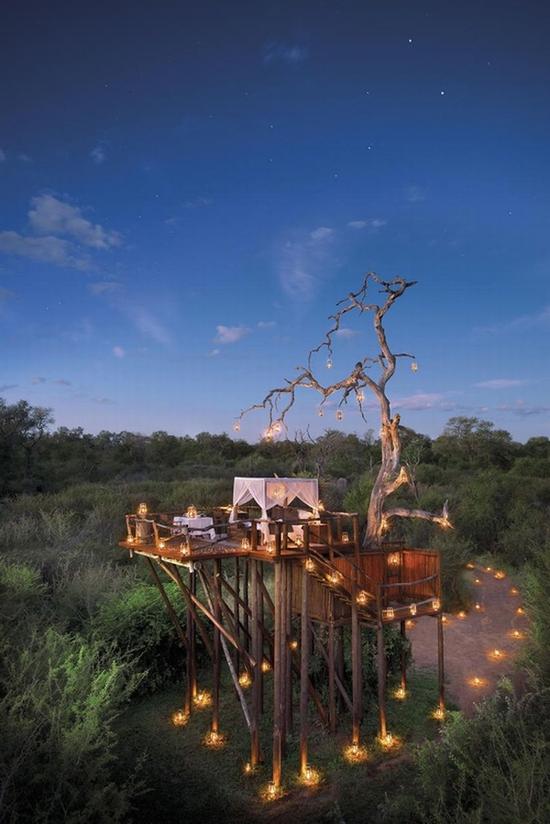 南非雄狮金沙象牙旅馆 图片源自酒店官网