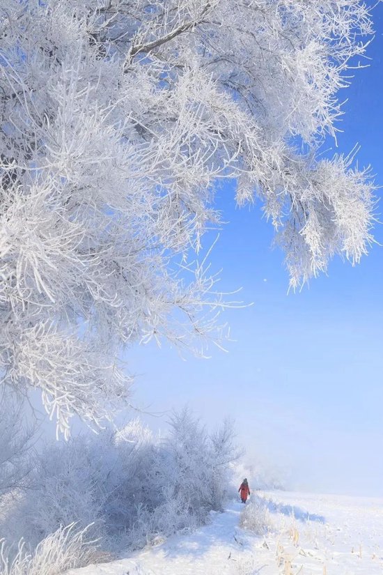 全国唯一与“省份”同名的城市 藏着“最美冬天”