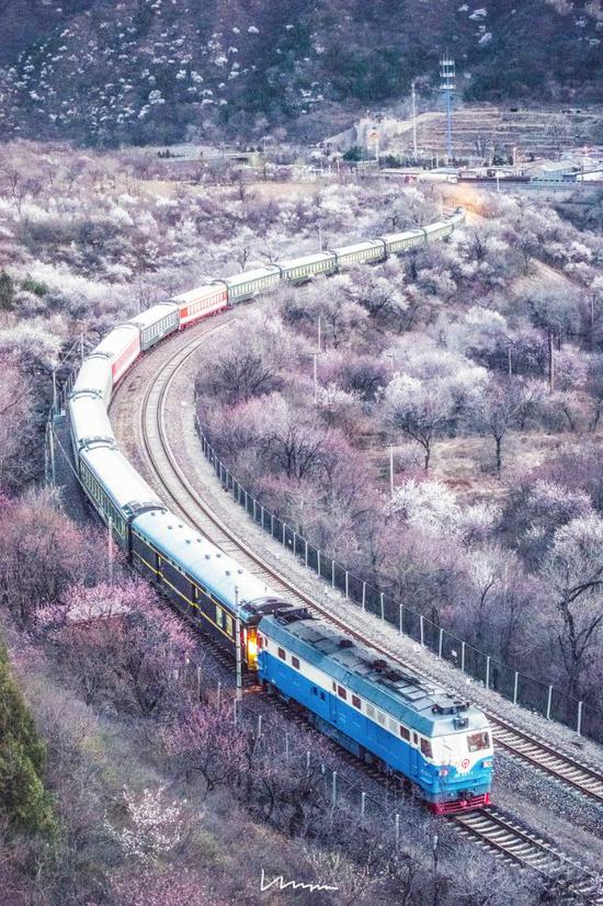 ▲图:@鼓手吴碧池