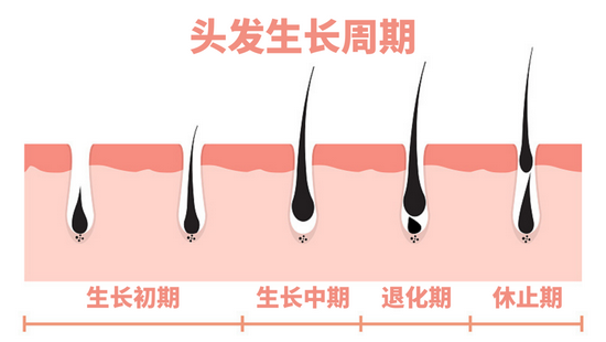 图源:视觉中国,制作于Canva