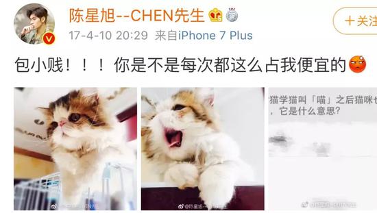 肖战胡歌李现 来领取你的猫系男友吧