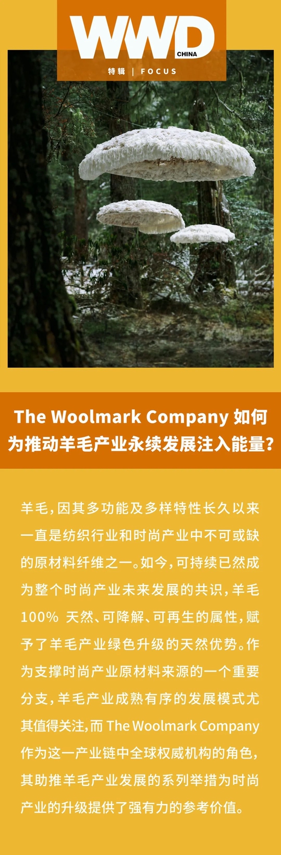 特辑｜The Woolmark Company 如何为推动羊毛产业永续发展注入能量？