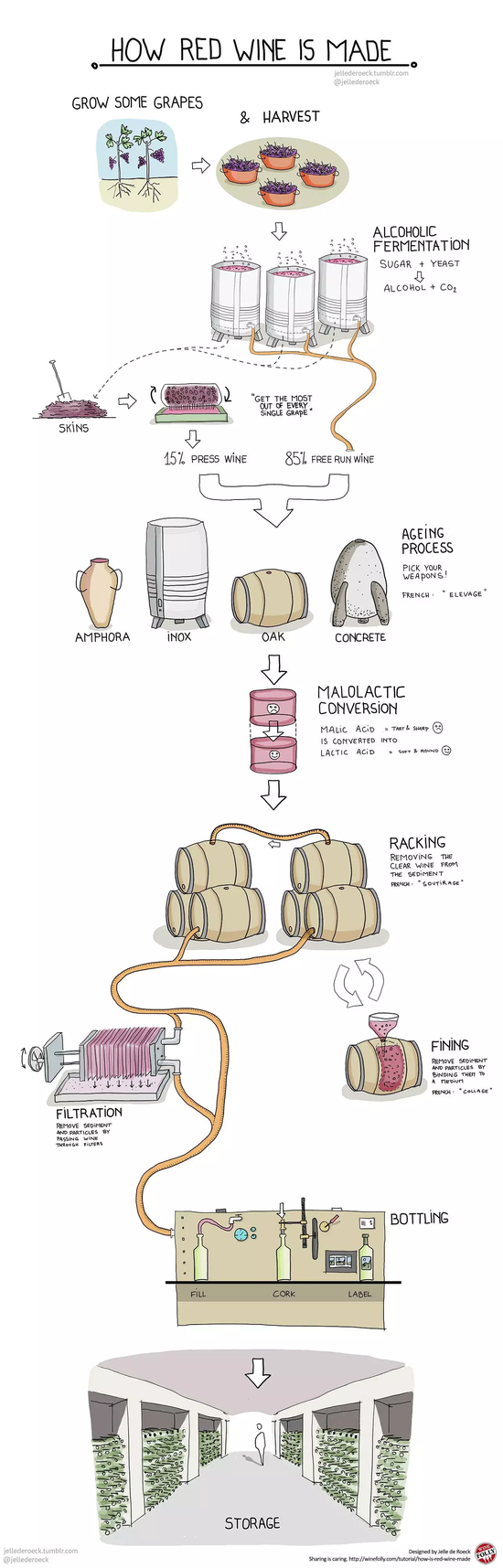 图片来源：Wine Folly