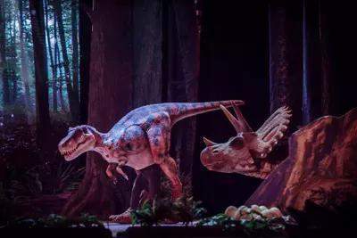 ĩȥˣ3ֵڴȤζӻ