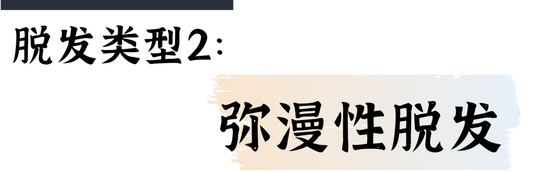字体素材均来源于Canva