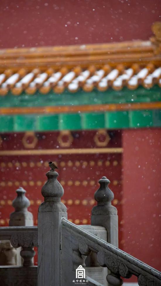 北京下雪了 去不了故宫还可以到这些地方赏雪