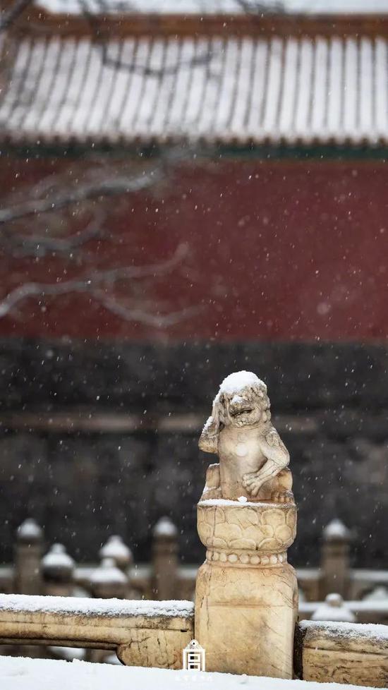 北京下雪了 去不了故宫还可以到这些地方赏雪