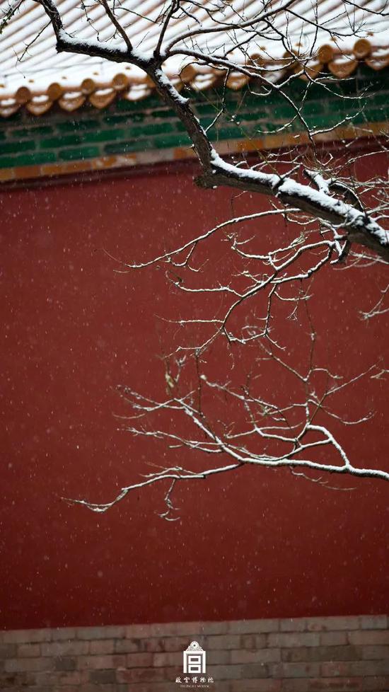 北京下雪了 去不了故宫还可以到这些地方赏雪