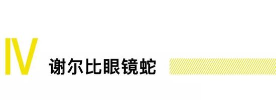 如果说萨琳S7体现科研精神，谢尔比眼镜蛇就是Tony美国精神的证明。