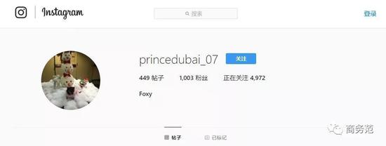 足够戏精的账号名字：princedubai_07（迪拜王子_07）