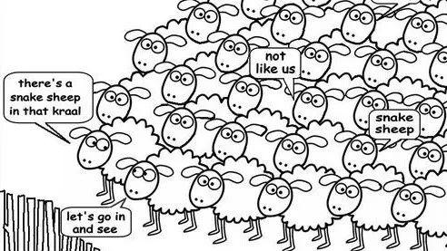 Herd Behavior 羊群效应（图片来源：fbnotify）
