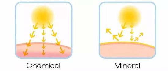 ▲化学防晒（左） 物理防晒（右）