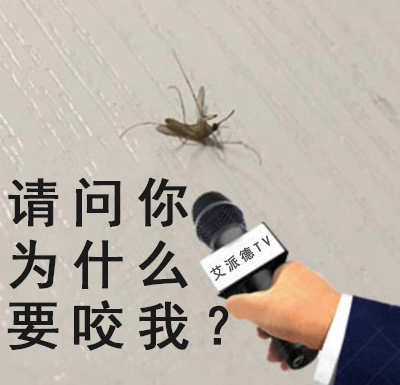 想要“蚊蚊”你敢不敢 像我这样为痒痴狂？