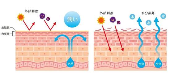 图源：图虫网