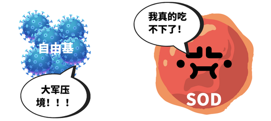 自由基对人体的危害是什么 2471-534aeb260649a371c311d5ed2384aa7d.png