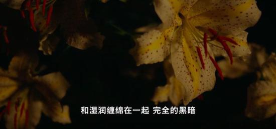 电影《小森林 · 夏秋篇》剧照