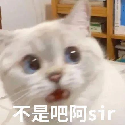 这些女明星的护肤“邪术”信了你就输了 这些女明星的护肤“邪术”信了你就输了