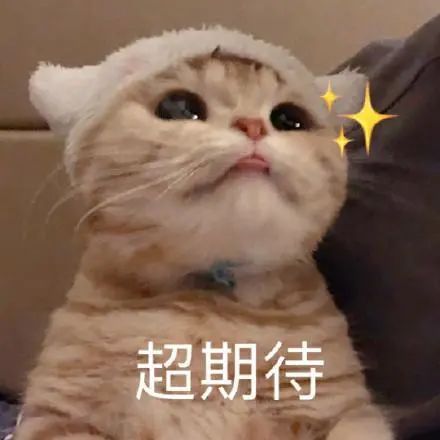 衬衫+半身裙=早秋万能穿搭!-幽兰花香 衬衫+半身裙=早秋万能穿搭!-幽兰花香