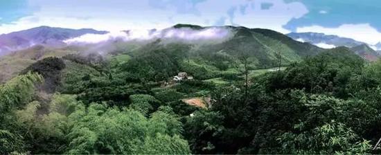 浙江莫干山景区