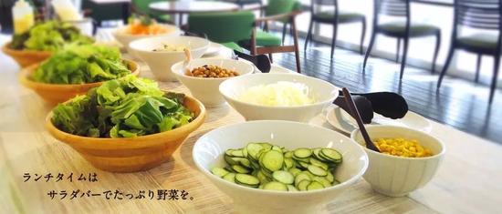 午餐了话,沙拉自由组合选取