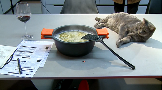 猫咪别怕,看见红色的控温按钮了吗?
