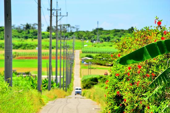 小濱島風景 