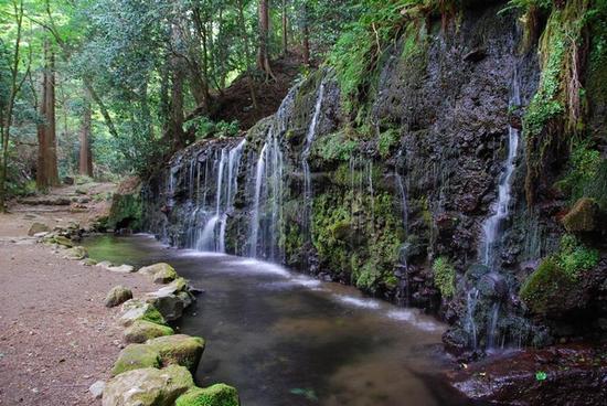 箱根小涌园 美山枫林酒店 图片来源自pinterest