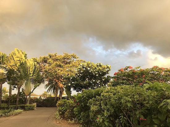 斐济的日落时分，整个岛屿都被笼上金色的夕照