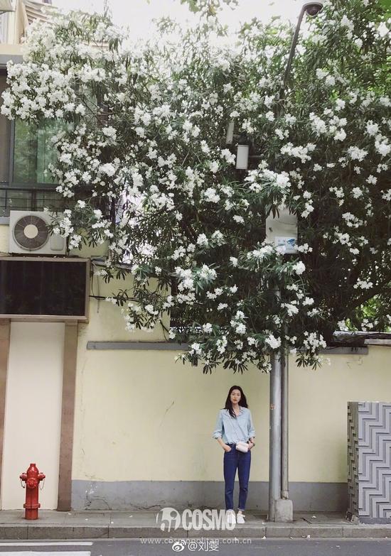 度假堪比拍大片,明星“游客照”都太美了