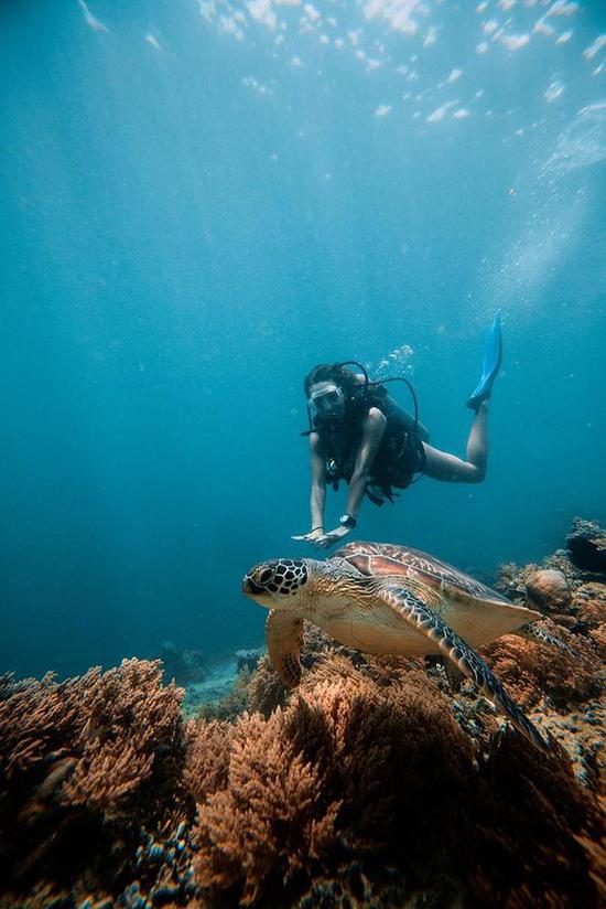 苏林群岛 图片来源自Tommy Schultz Travel and Underwater Photography