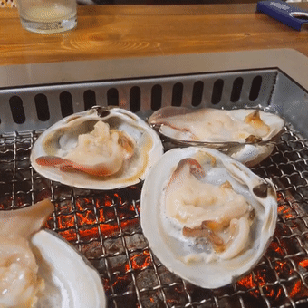 烤马贝 | 拍摄 矜持