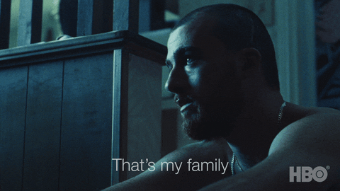 Fez / Via 《Euphoria》