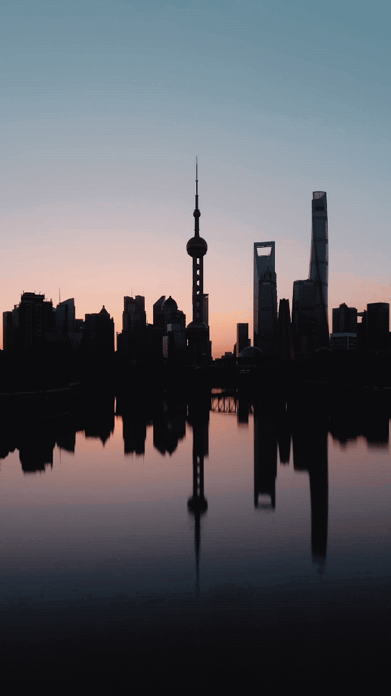 上海(手机拍摄)