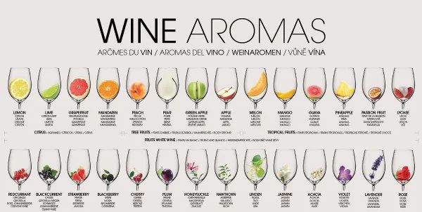 知否VOL.26:如何品鉴一款葡萄酒?