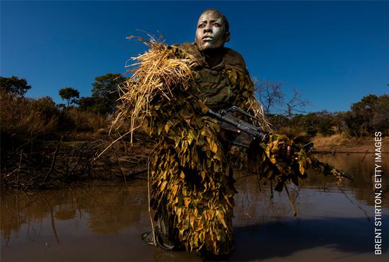 2019 Ӱ࣬һȽ Ŀ-¸© Brent Stirton, ǵͼƬ