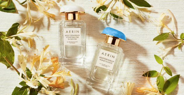 ʢųѰλջ԰ AERINǡ˫ˮϵϮ