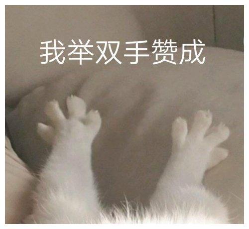 看腻了大同小异的美妆视频？不如来看看她们的